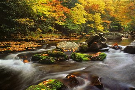 四川自考异地报名