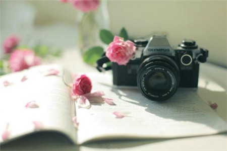 四川自考试点本科