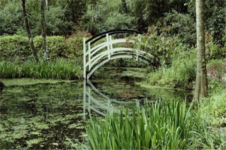 四川自考论文怎么申请？(图1)