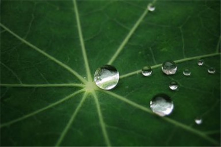 四川省自考的三大骗局，考生们都有防备吗?(图1)