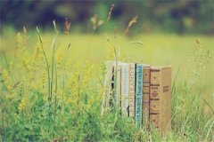 四川省自考经济类专业可以使用计算器吗？