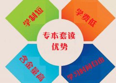 专科本科可以一起自考吗？